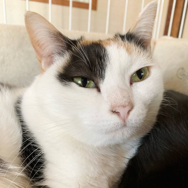 7488d4e5 019f 4c73 b601 a849c1a17e84 1545441640204