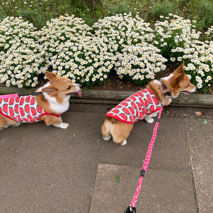 7488f52b 6e55 4e8c ac00 add302e18974 1588662268775