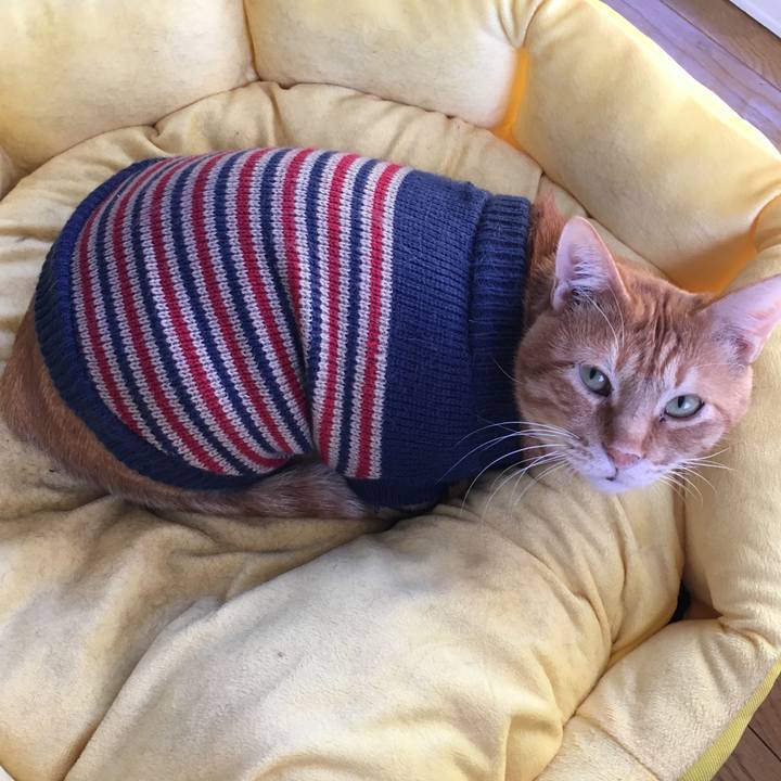 74891bf1 4390 445a 8918 34d184a737f8 1541292375266