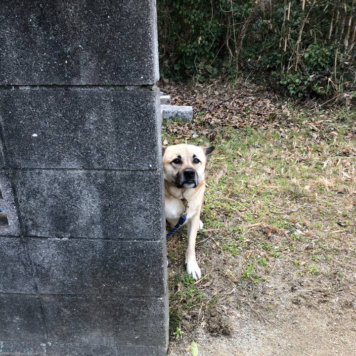 7489203d 4dc4 4c02 aab8 3c3c0350489c 1519464203610