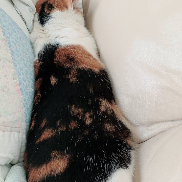 7489af5d 0963 45f5 8928 38114b98b117 1556495693468