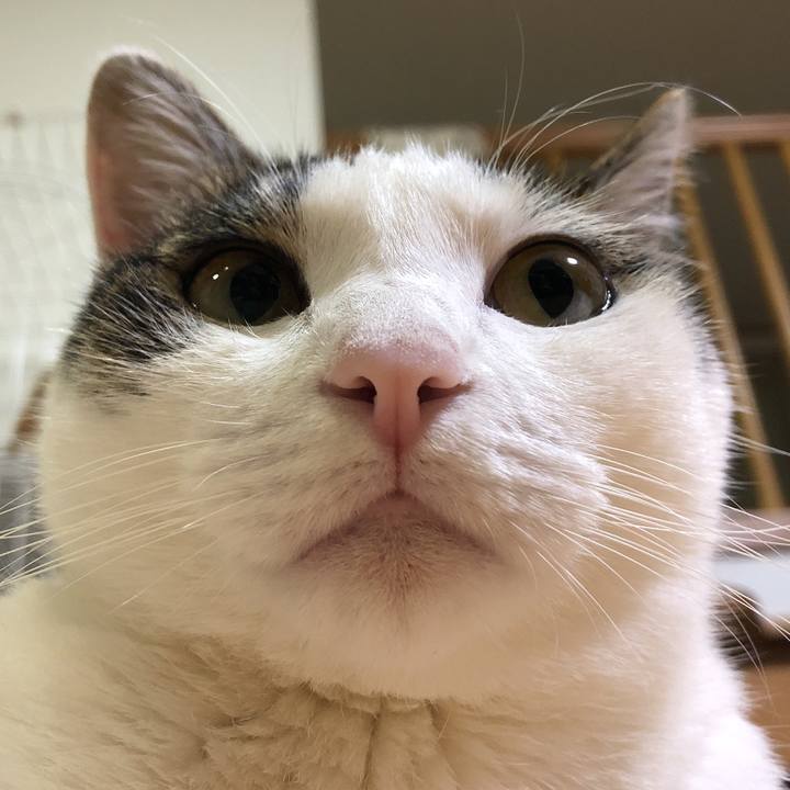 7489bb3e c2a9 452e b41e b421e35caa6c 1629807304875