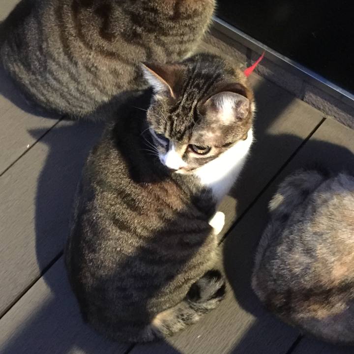 7489d0bf dc78 4be1 9b3a 38a96485ace0 1555407738726