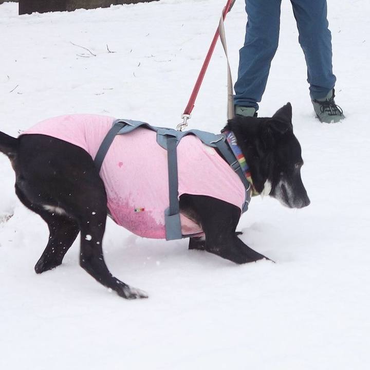 7489ee1c 2792 4453 ba7c 1befc1735adf 1707180477130