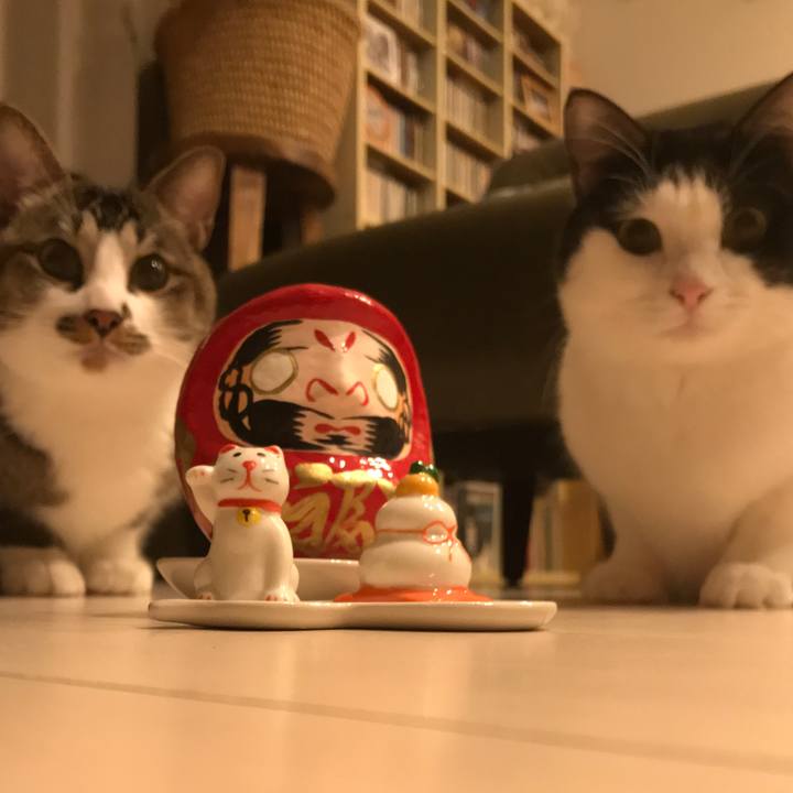 748a1525 5368 4692 a6fb 4b5d53364d16 1514706592323