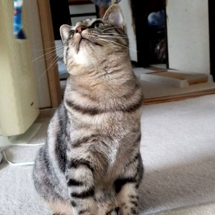 748a1789 9811 48e0 9e30 12f0fb37cd47 1691241587459