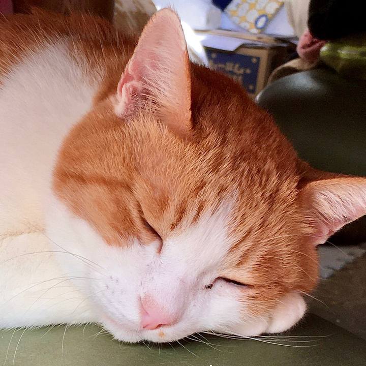 748a3c43 aebf 41c8 ae24 ed6e23cb62dd 1574228714427