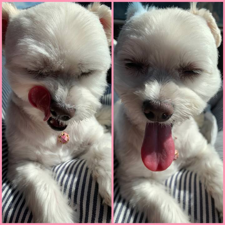 748a4ef2 3ecd 41b1 aca0 502dea51d4fb 1636019024578