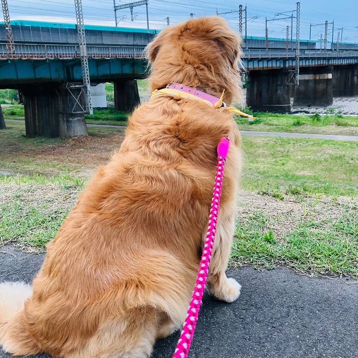 748a73f3 bdc4 48a5 b14c 24a60c7f91d7 1716168926075