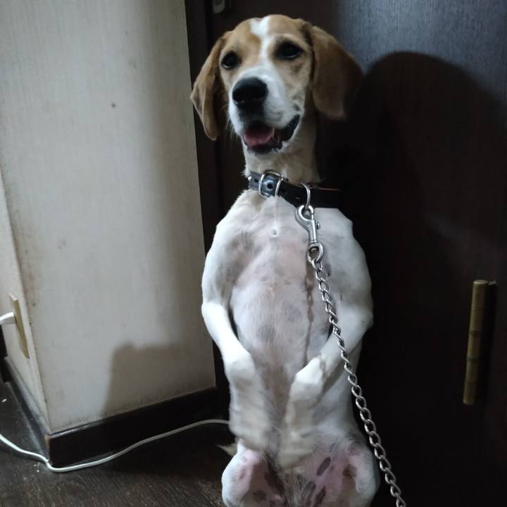 748a7737 8597 433c a1a1 1a5859685532 1663384011378