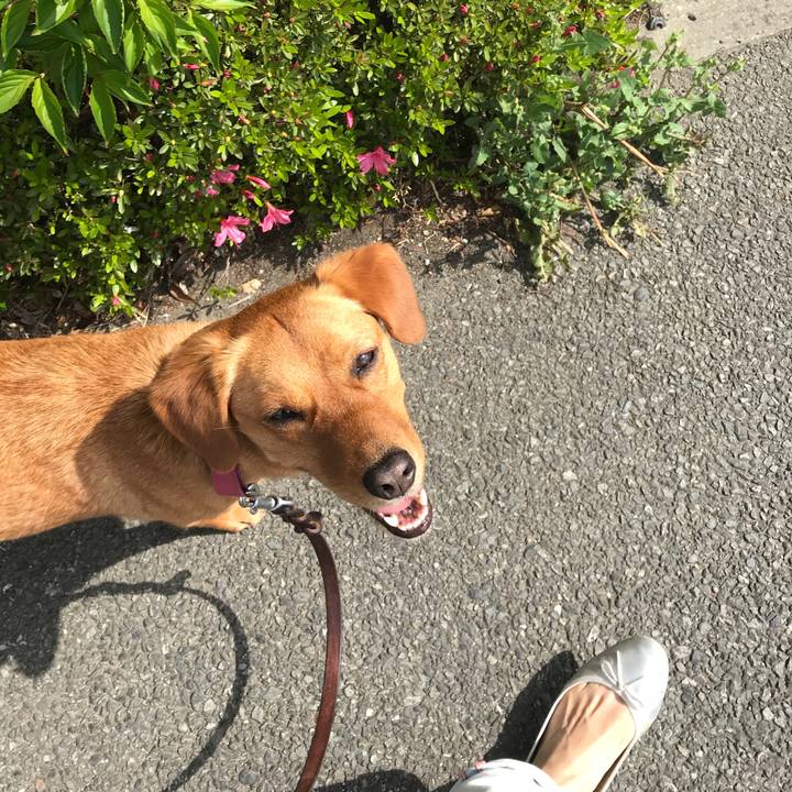 748aac44 5d99 41ab 9048 e1fdbbbbacaf 1525055659115