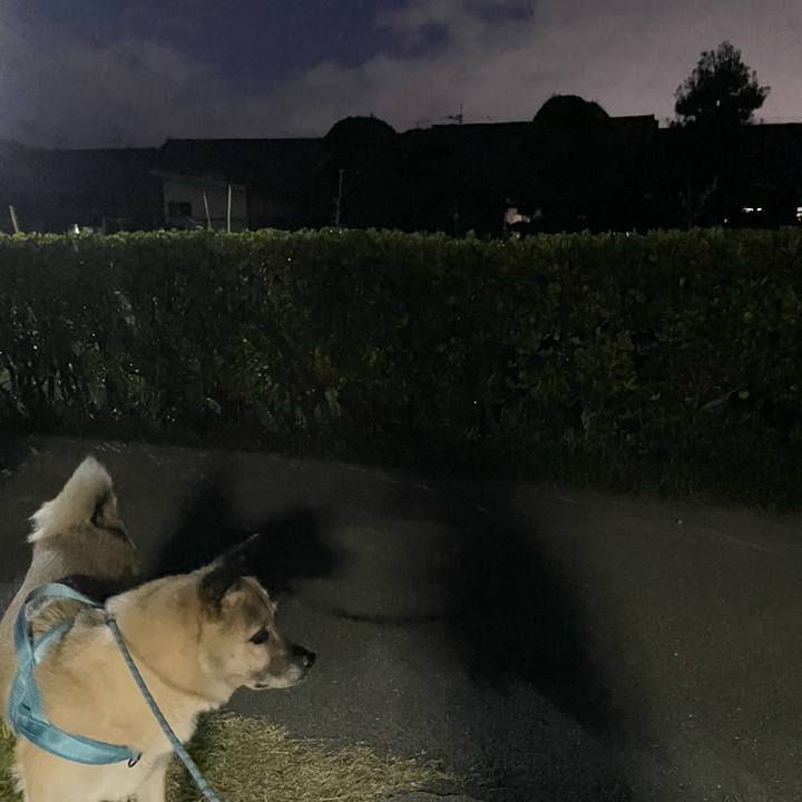 748ad5a2 9a11 4bd8 8a69 a24031b754de 1724243008384