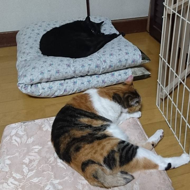 748adb8d 8d4e 4c24 94c1 0c2db8730017 1525502791037