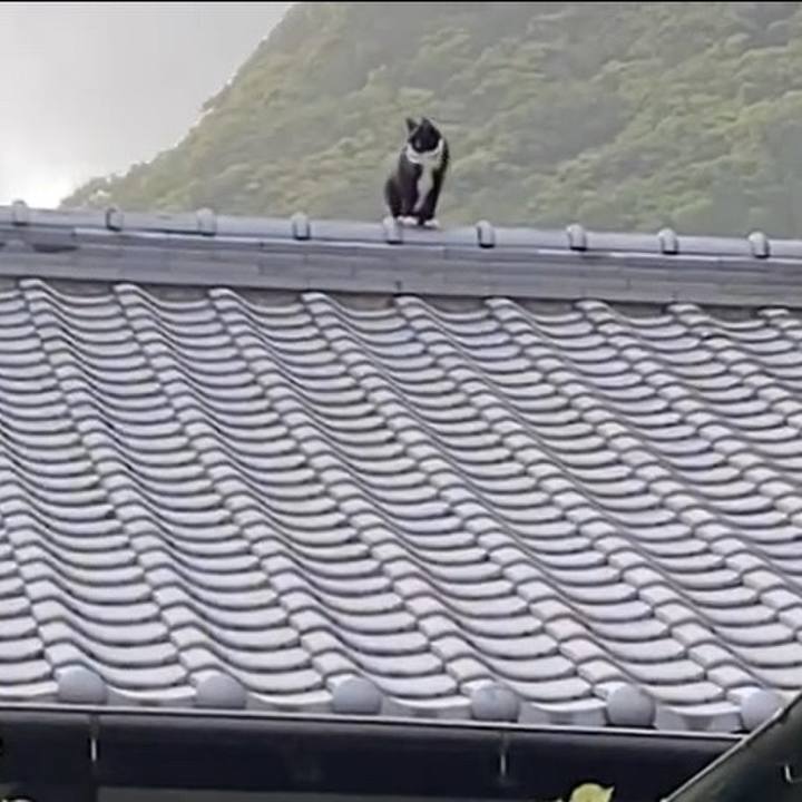 748af7d5 6405 4bcd 858e 7c69d0de54bf 1729281712438