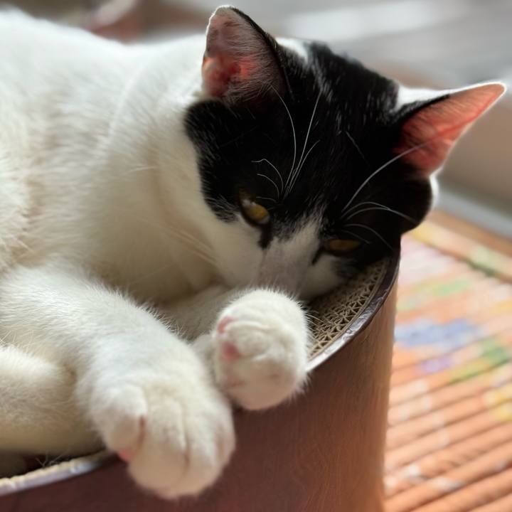 748b6704 d768 42db 87da 6972be162d4d 1771983753218