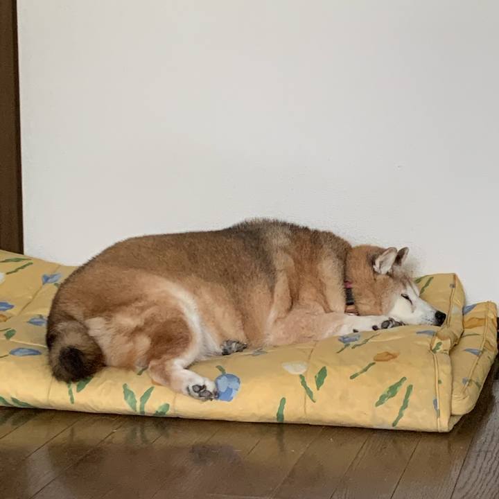 748b70da 4ada 4e64 8f34 0ba02a0e4979 1630202392704