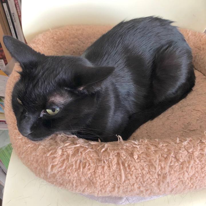 748b7885 d815 4653 9a61 a2ae77e51a13 1568003078127