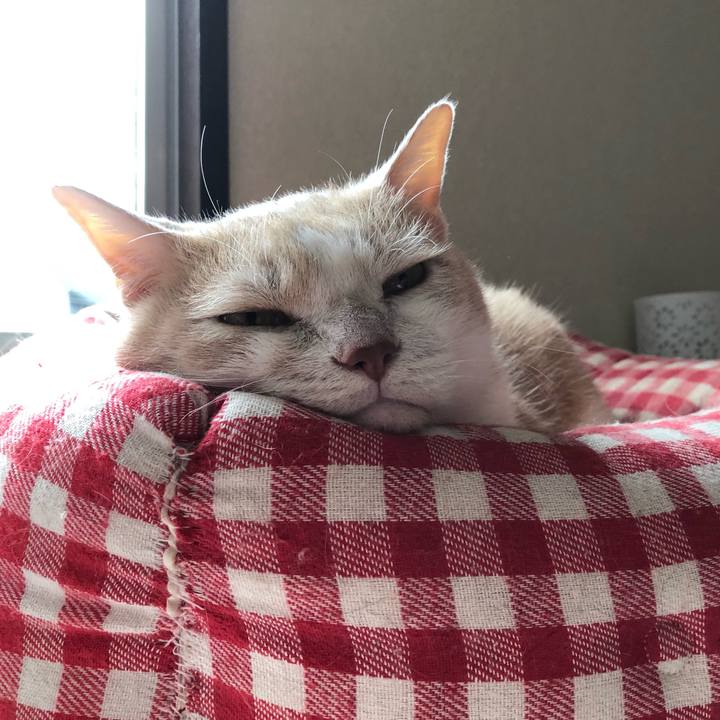 748b964f a35b 41ce be5a 4df8e6618048 1563667820448