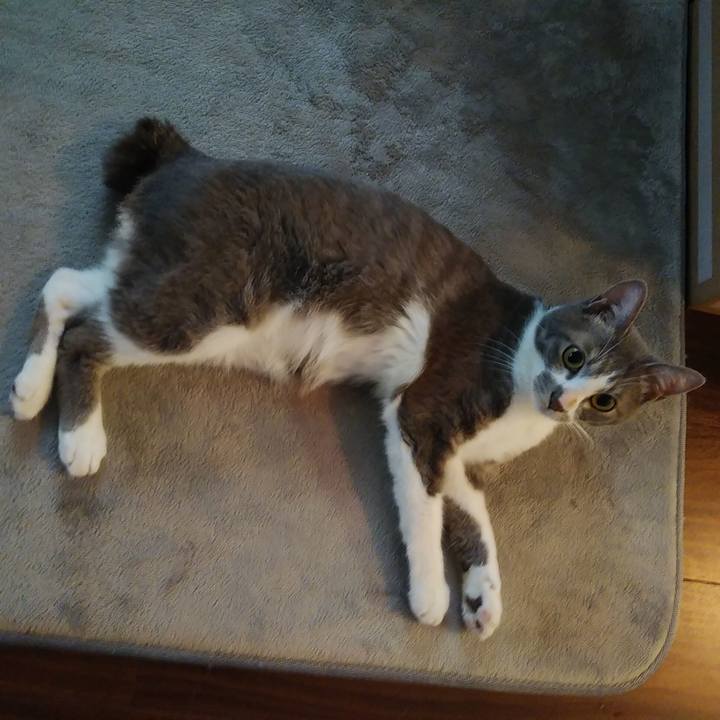 748bb1f6 aa9e 4c00 abe0 1f27061e3b4a 1593297981241