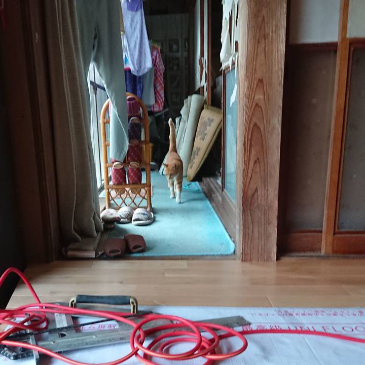 748bcd15 9210 4a42 a1f2 a2822647c082 1596790630004