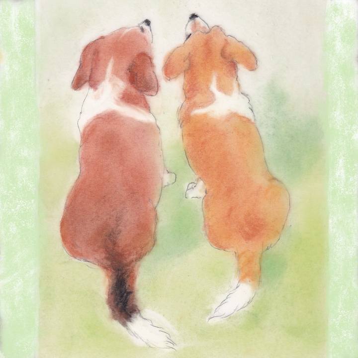 748bd178 5010 4886 993f 20ae5ee13ab0 1729520663174