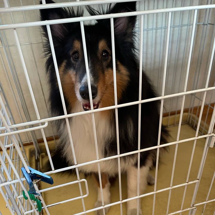 748bfb21 8182 4373 bc1f 6e9c766411d9 1618179517469