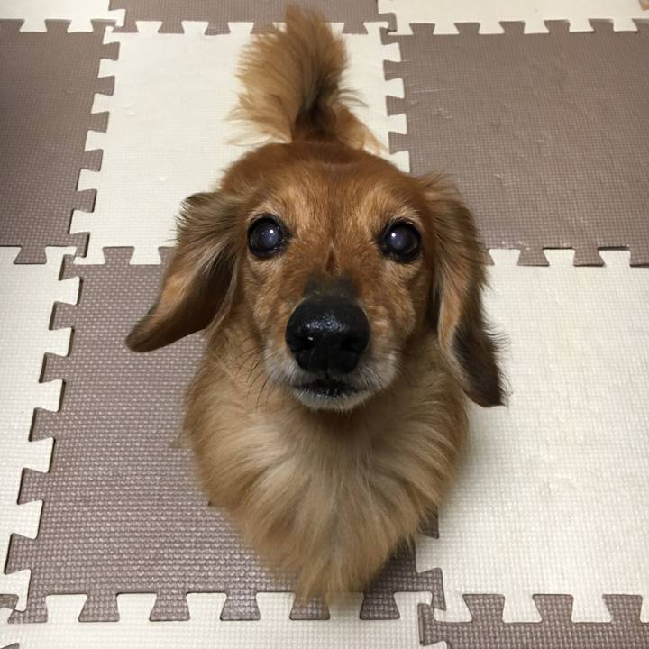 748c15c3 438a 4da5 8401 c6a4e920d730 1585662328567