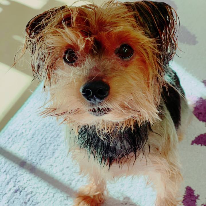 748c3213 7f6b 419a bd3d 9f83a99bebe4 1575427710701