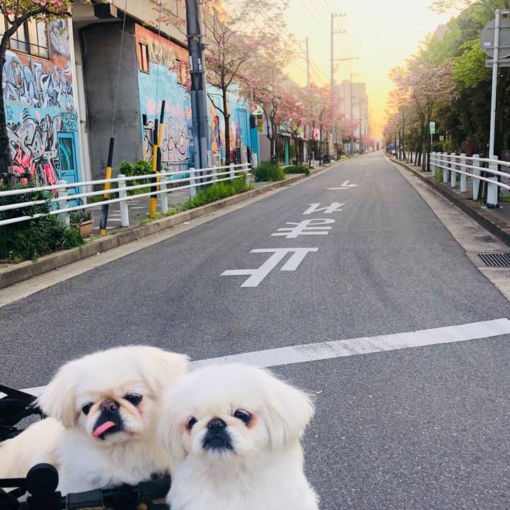 748c32ec f08b 48fb 8575 da4e9ddf745c 1588116898185