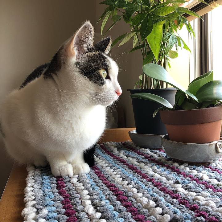 748c4d65 4faa 4ac9 b524 0b0913d7d90b 1677547189666