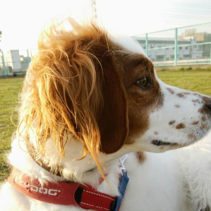 748c8484 f94e 4b19 8206 2781560a27c0 1543134264263