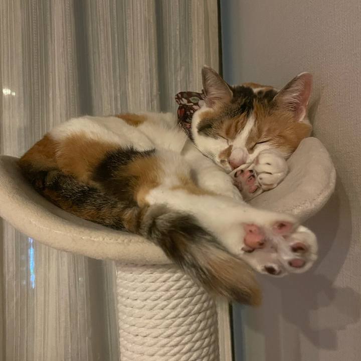 748cbcc1 4645 462a 8f3a 175a13630f9e 1747661139442