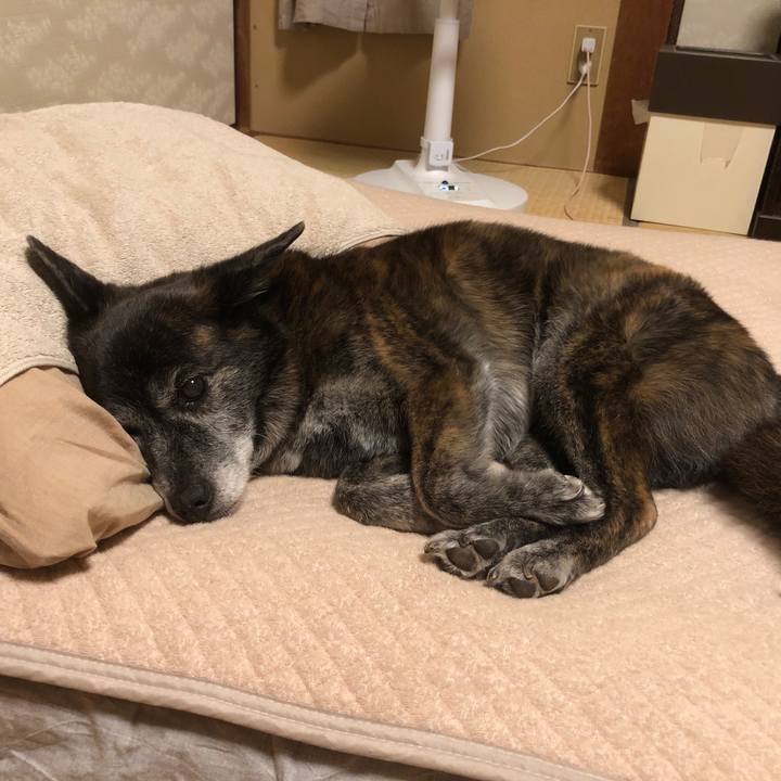 748cbdeb 217f 4d98 b823 2daf9e69de2c 1695604399490