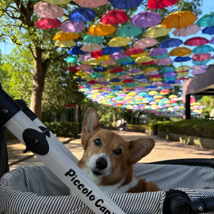 748cdcb4 aa16 4faa 8639 f78a6ecf025d 1753922613888