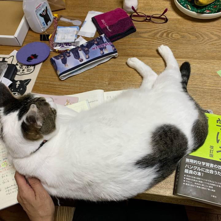 748d1450 1120 4467 89fd 77003d898d6a 1595486765046