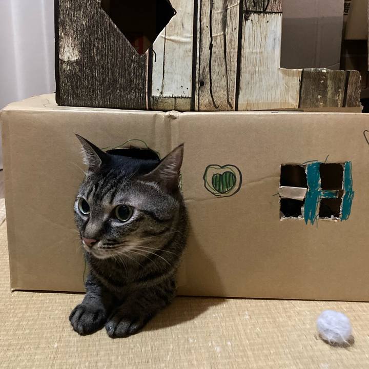 748d17d6 5e07 4a1c 8212 d4ed1adbc50a 1597242338330