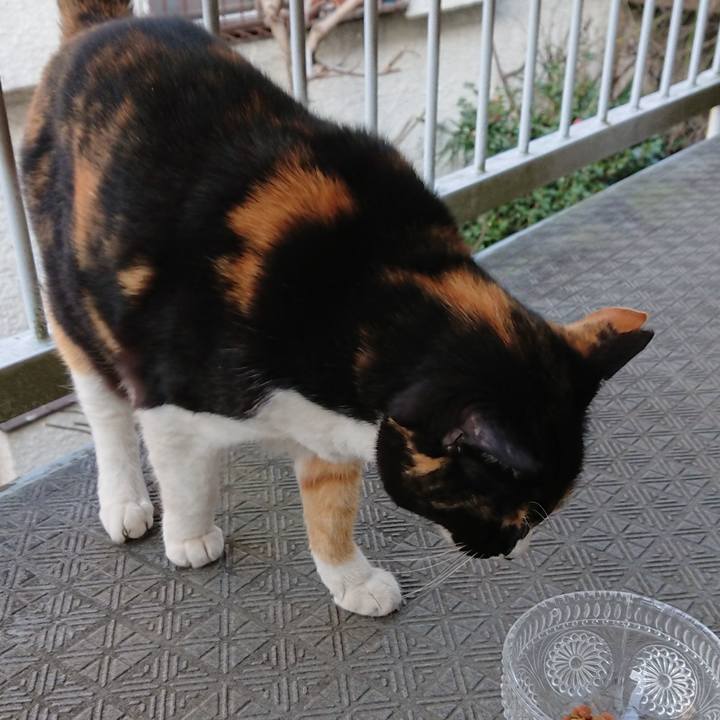 748d1c00 d908 4b70 b5ad 30b250400e26 1615880054192