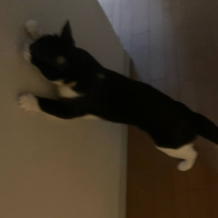 748d370c 9b4b 421d bba9 5ec4ec60aec4 1693462481317