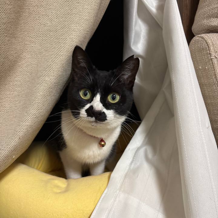 748d39ee 9aba 4b41 a40b 741562826b9a 1772358071752