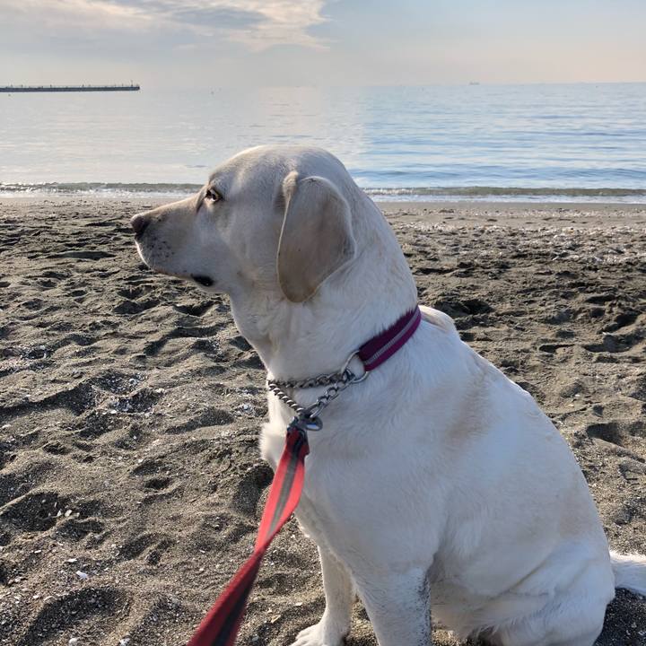 748d48b1 1371 419f 9a16 eb0b9fe7ba57 1609306411704