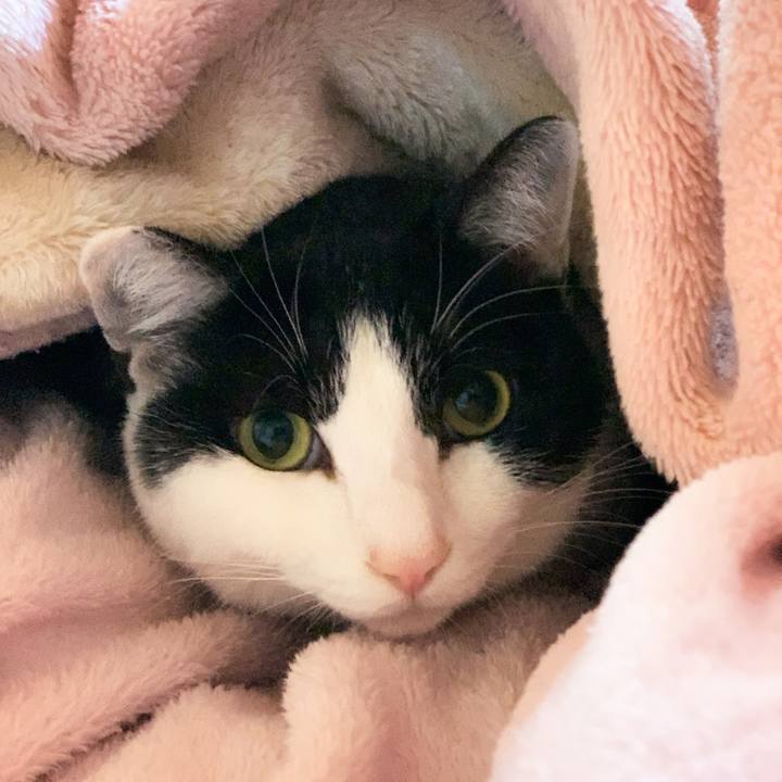 748d6240 6ab2 4d9f a1dc 70e85d6f7777 1580521998738