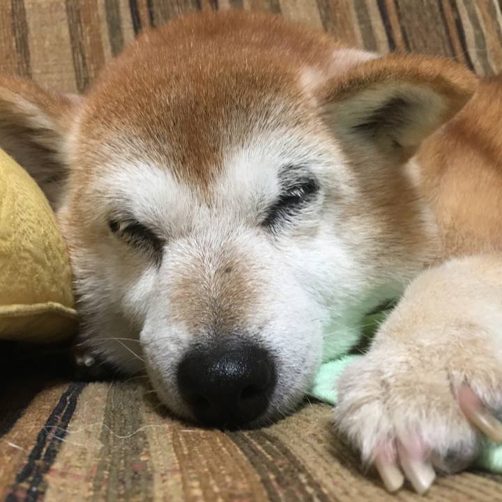 748d6272 7572 4fc4 87e7 b3315276d480 1534467748644