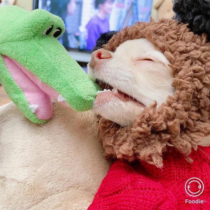 748d6619 d457 4877 9f63 1916aa328254 1605437735658