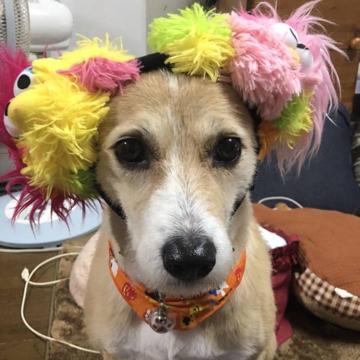 748d8d35 e81c 4c61 92c4 bb60b1e70920 1541337786664