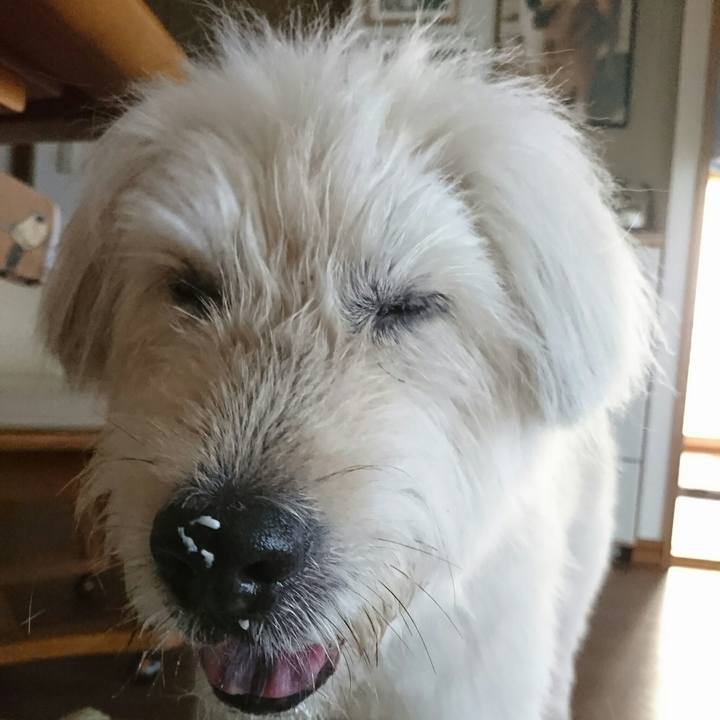 748dad47 e6bc 4f4e bb97 783f964c9f2d 1565130081223