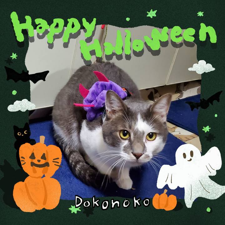 748dcc8d 9a9b 4186 a585 90fe40670cb4 1729137794884