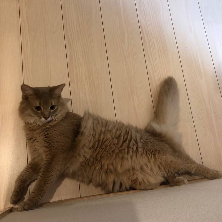 748ddd8b 8461 4c13 94e6 50ecd523b9f4 1570113140298