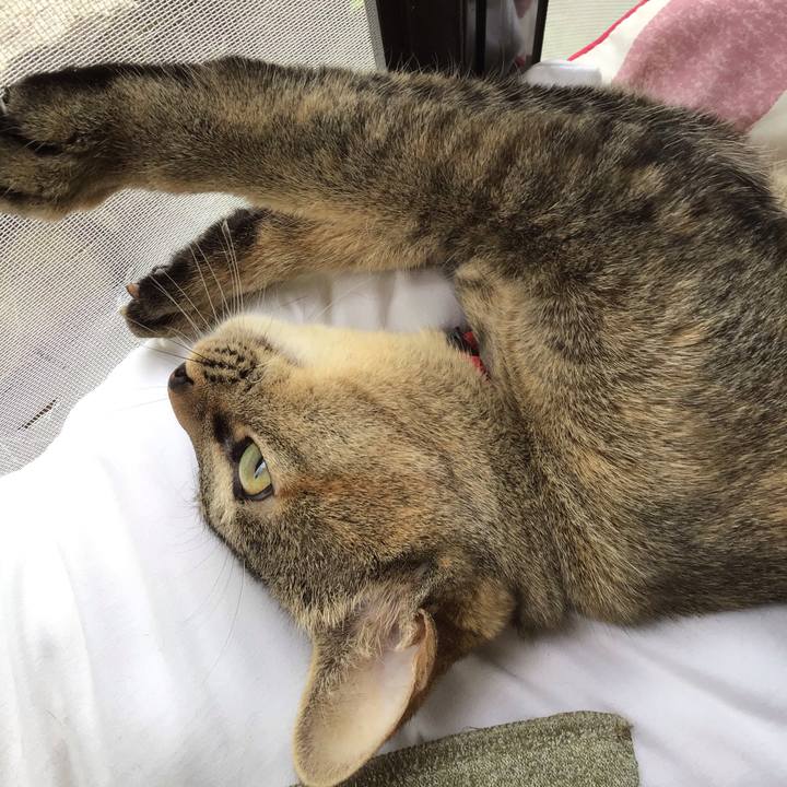 748e0f5f f898 48e1 be5c 91ecff0372c2 1585389436230