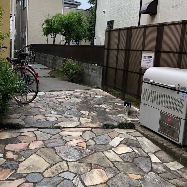 748e1fe1 fe86 412a 9268 bc2acbad4a90 1526652374157