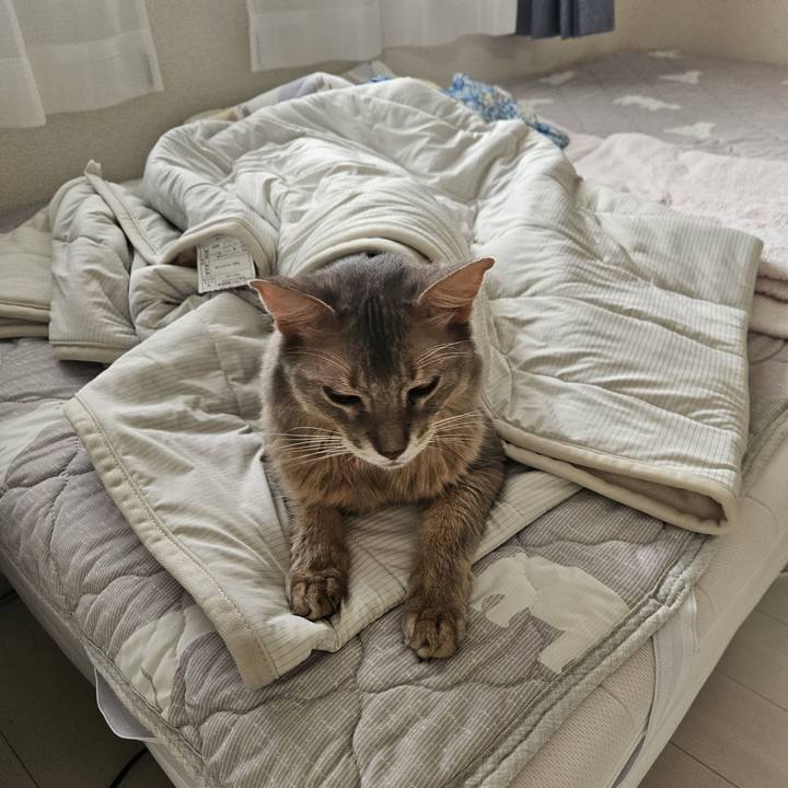 748e420d 649f 46c6 8db2 9d14b25c9d5a 1725410236280